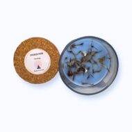 Meditation Candle by EKAA - उपचारात्मक (Upchaaratmak) – Healing Candle | Rosemary and Calendula Soy Wax Candle for Tranquility and Focus