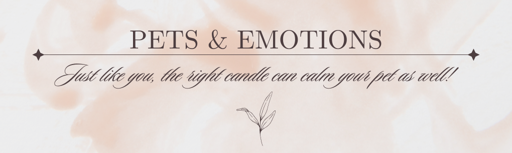 Shop Pet Friendly Candles by EKAA