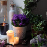 Wellness Candles - Ekaa Candles